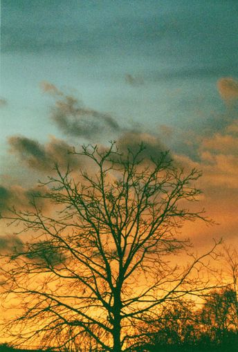 Leidenschaft und Anmut