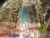    an den rissen und...