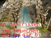    an den rissen und...