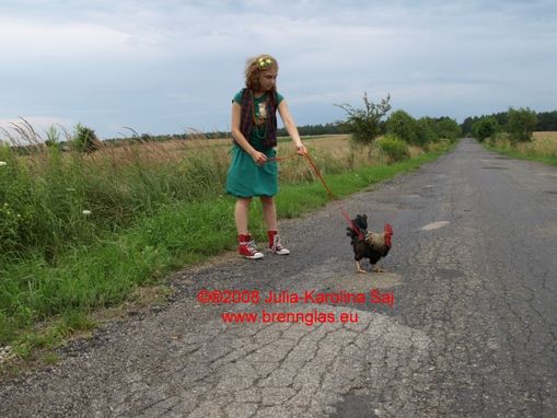 Spaziergang - Miss Revolution