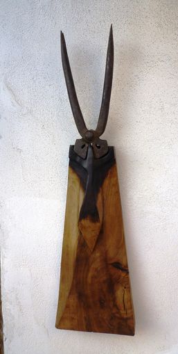Hirschk�fer