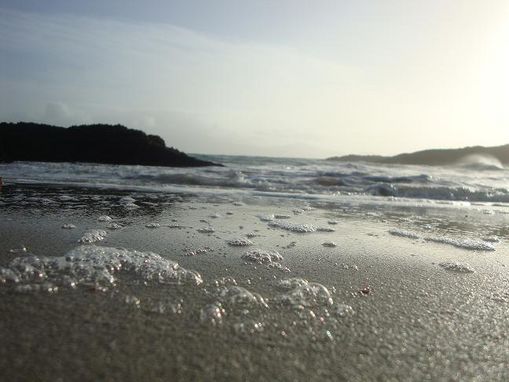 Sch�nheit von ganz unten