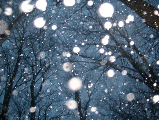 Schneefl�ckchen