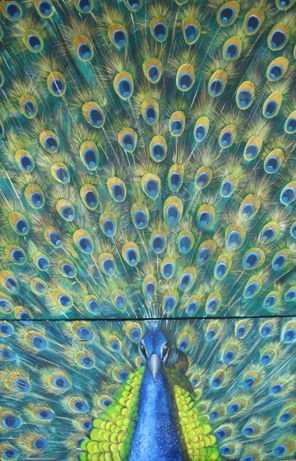 Pfau
