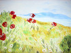 Mohnblumen - Landschaft