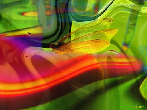 Vitality - Lebensfreude