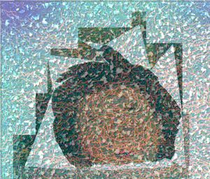 Die Saatkr�he und ich Nr2