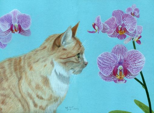 Kater mit Orchideen Zeichnung