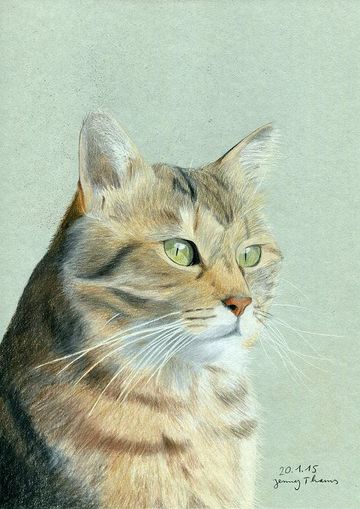 Meine Goldkatze Sarina Farbstiftzeichnung