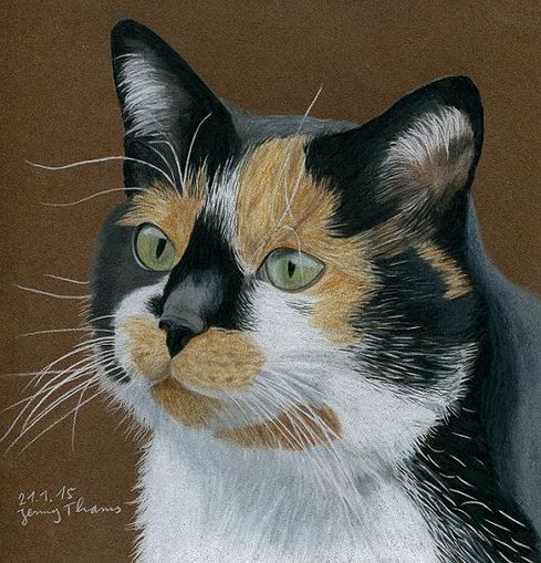 Gl�ckskatze Farbstiftzeichnung