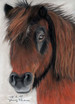 Pony in Winterfell Portrait
