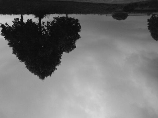 a heart for the nature