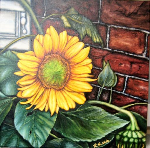 Sonnenblume