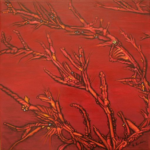 L�wenzahn - Arcanum Quinta Essentia