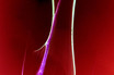 Ohne Titel