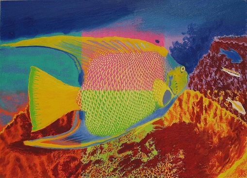 Kaiserfisch