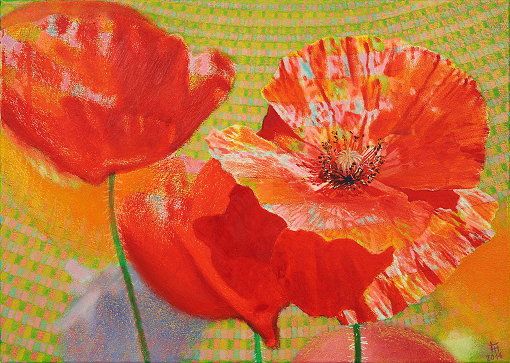 Mohnblumenfeld