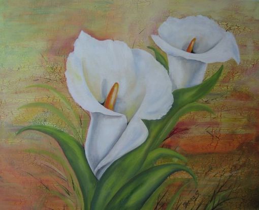 Callas