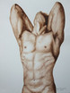 The Male Torso