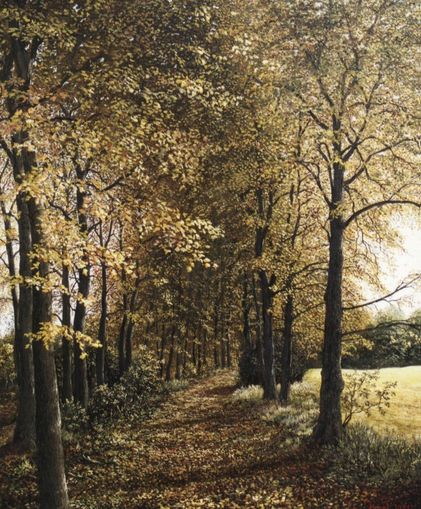 Waldweg im Herbst