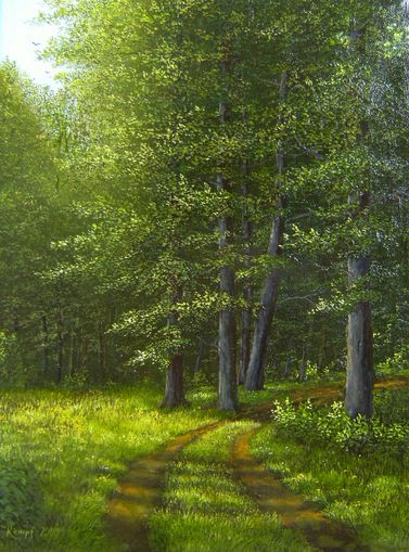 Waldweg im Hunsr�ck