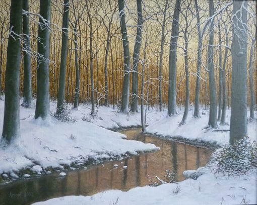 Winter am Waldbach im D�mmerlicht