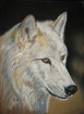 Weier Wolf