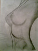 The Body