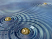 Wellen schlagende Goldklumpen  Gold-Nuggets Generating Water Waves