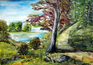Weg zum See