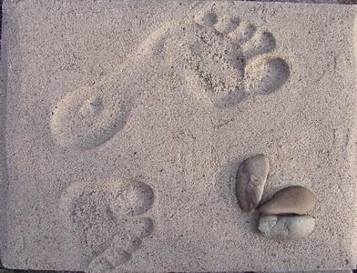 scuttle print
