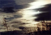 Moonlight Shadow II