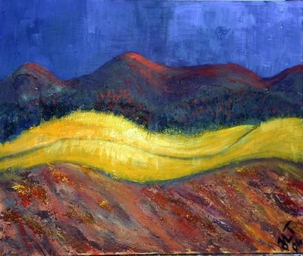 Rape fields (Bosau) in a storm