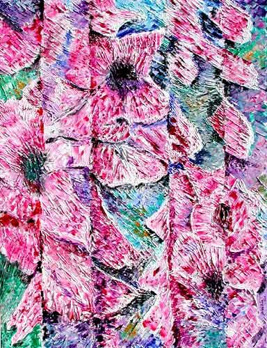 Dactilorhiza maculata