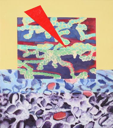 PROJECTION 2010