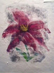 Ohne Titel