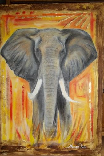african elephant