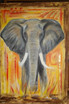 african elephant