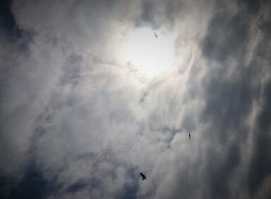 Flug ins Licht