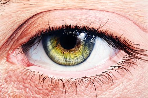 Das Auge- Das Fenster zur Seele
