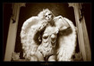 Wings of Lust