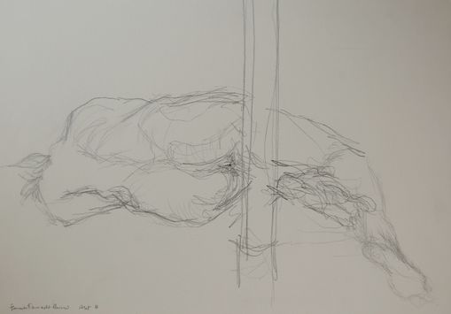 Nr20 Kunstf�rderpreis 2008 f�r Daniel Torrado Hermo