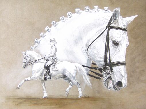 Bewegungsstudie Portrait Schimmel