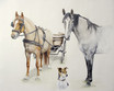 Kombinationsbild Pferde und Hund