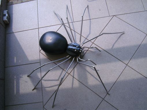 die Spinne  Ansicht von oben