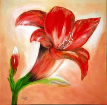 Amaryllis