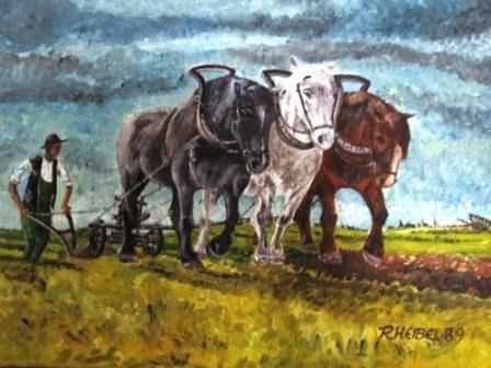 3 Pferde vor dem Pflug