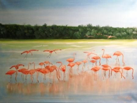 Flamingos in einer Lagune in Mexico