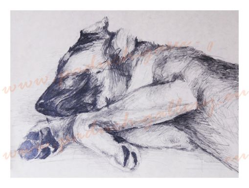 Tierportre nach Fotovorlage