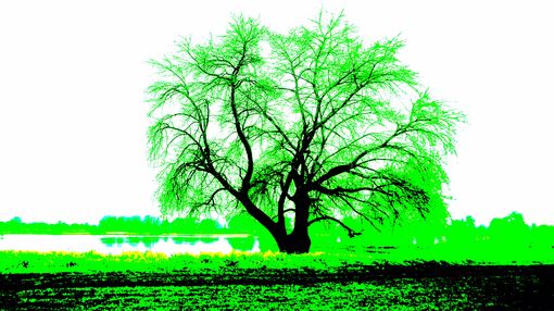 Ohne Titel